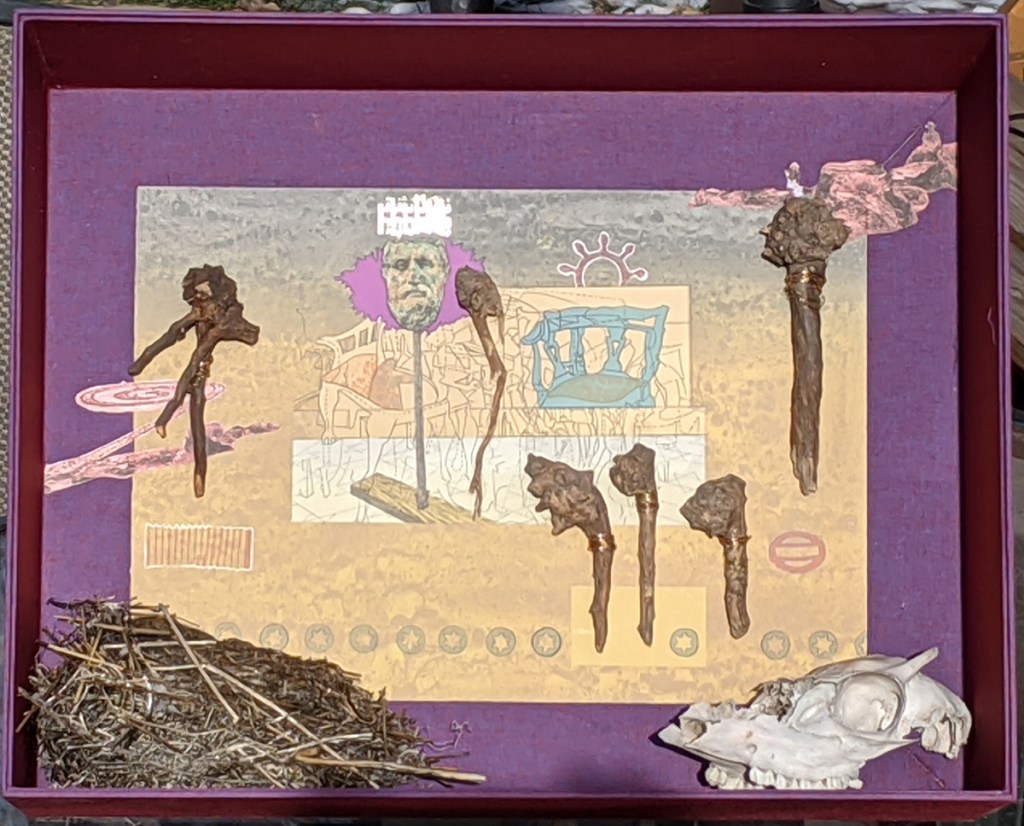 "Exercises in Symbolism after Wayne Kimball & Bob Kleinschmidt" - boxed assemblage with print, animal skull, driftwood and bird nest.