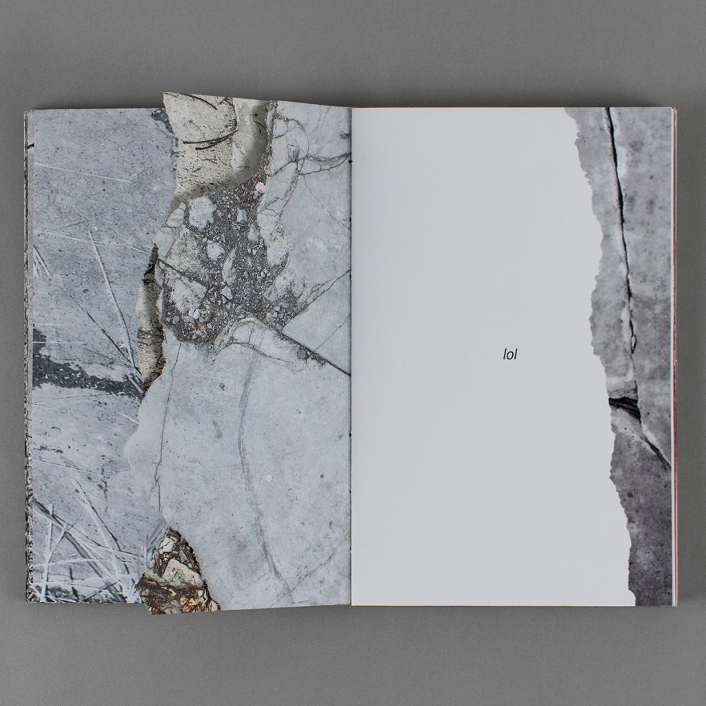 This Land is My Land, inside opening with torn pages on the verso - the images are full color photos of pavement or gravestones. The recto is a white page with the word "lol" centered, and a right margin edge with a facsimile torn edge, mirroring the verso.