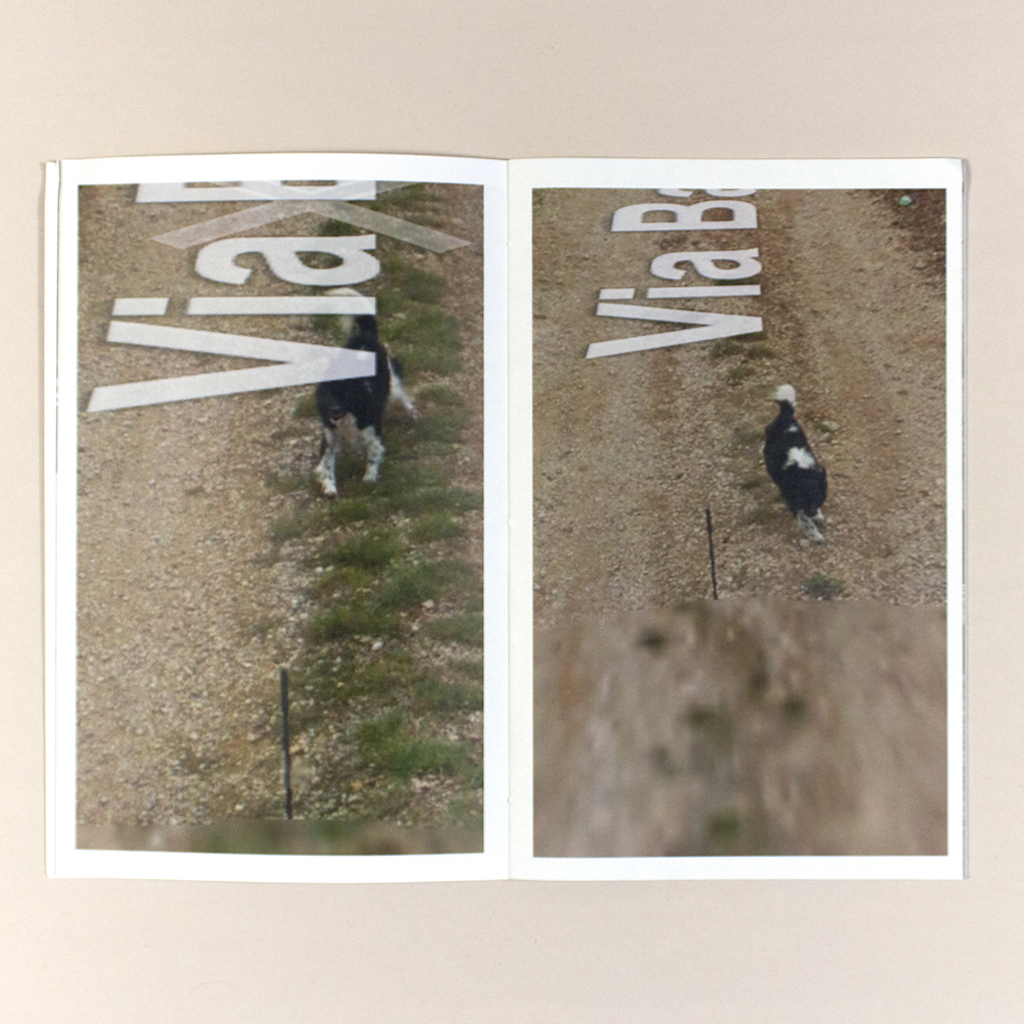 Attenti al Cane, Spread 6. Verso and recto show sequential images of a dog chasing after the Google car from which the image was taken. Both photos are partly obscured by Street View text. overlays