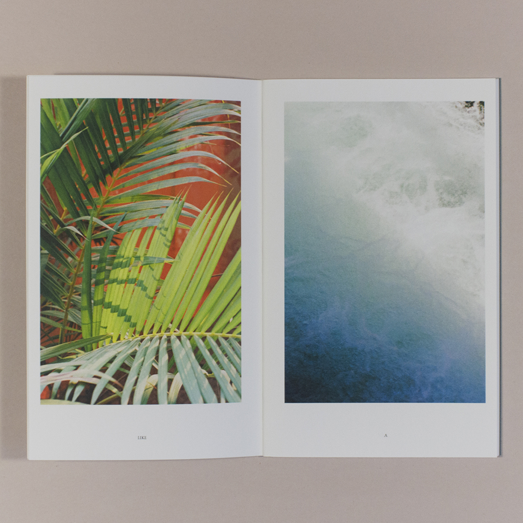 Seed Vault, inside spread. Verso has a photo of a bright green palm frond against a red background above the word "LIKE"; recto has a close-up photo of water above the word "A."
