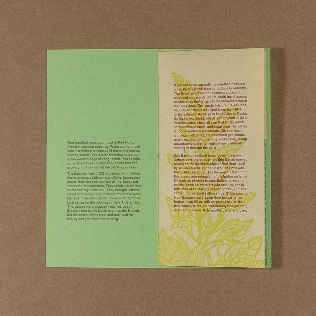 Plant Out of Place first opening