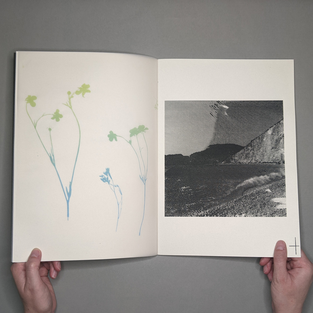 Escape Book, inside spread. Verso: silhouette of plant specimen printed in a bright-green-to-blue gradient on translucent drafting vellum. Recto: a square-cropped photograph of a beach screen-printed black with a coarse halftone.