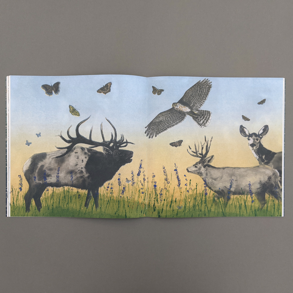 Owed to the Mountain, center spread: A full-bleed 2-page spread in which black and white animals converge in a color meadow against a pale sunrise or sunset