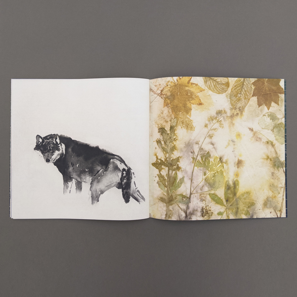 Owed to The Mountain, inside spread. Verso: A fluid black and white image of a wolf, turning to look back at the viewer. Recto: An endsheet covered in "nature printed" leaves from various plants.