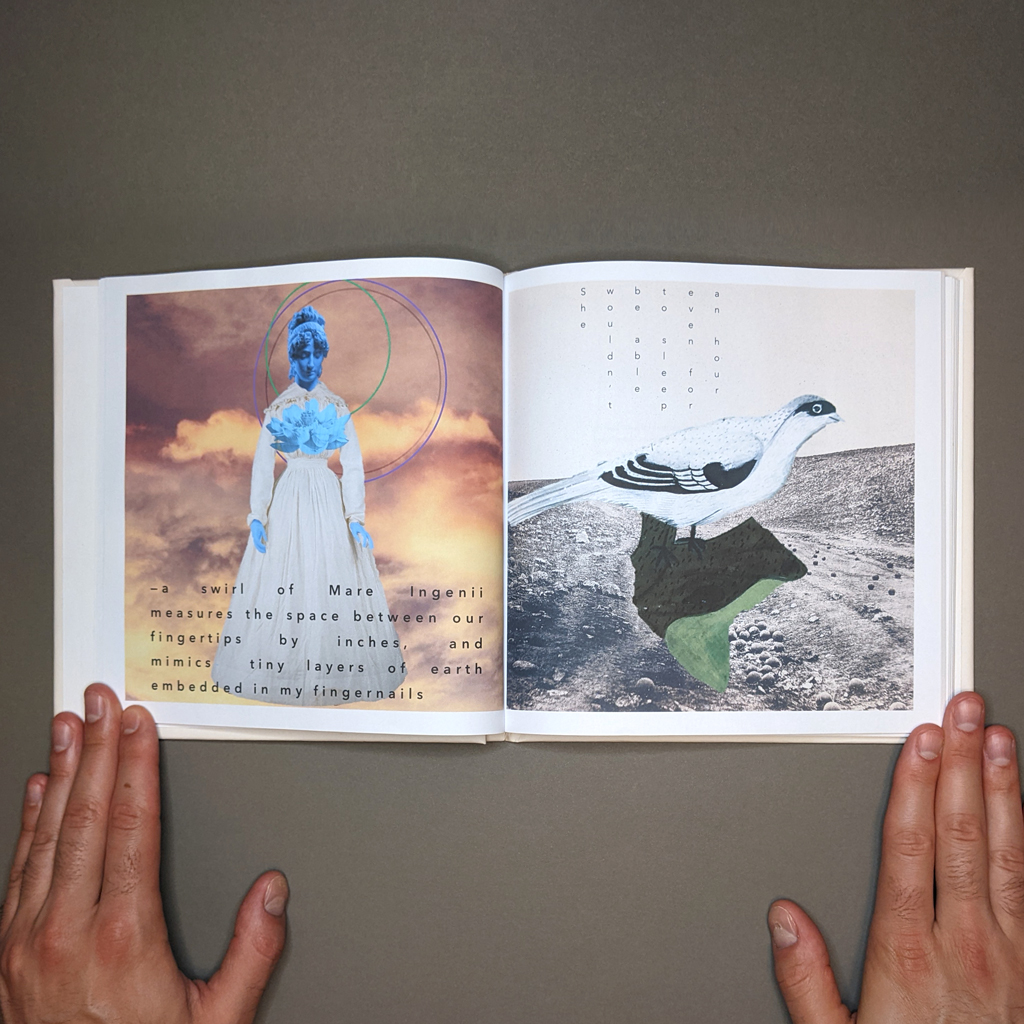 Tender to Empress, inside spread. Text and digital collage on verso and recto. On the verso, the primary figure is a woman, and on the recto, a bird. 