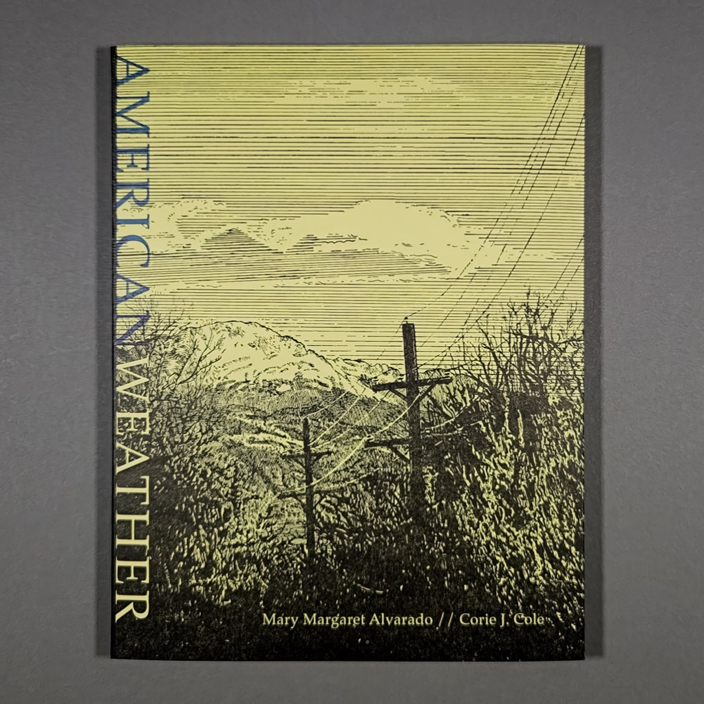 Front cover of American Weather: a black line illustration of a landscape printed on yellow paper.