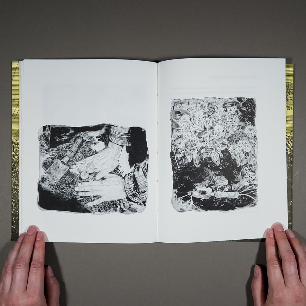 American weather inside spread. Black and white illustrations of hands planting a seedling (verso) and a garden tool (recto)