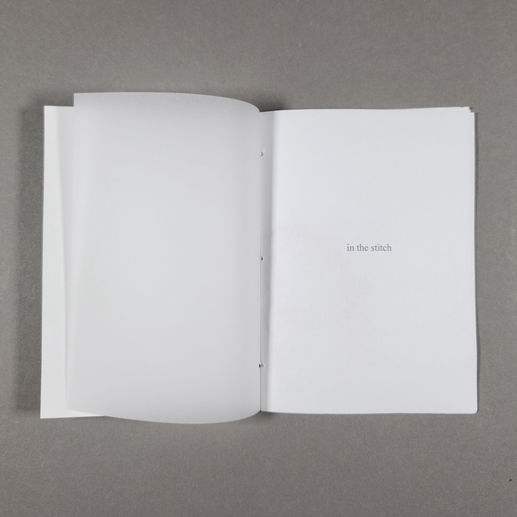 In the stitch, first opening: vellum verso and title page on the recto.