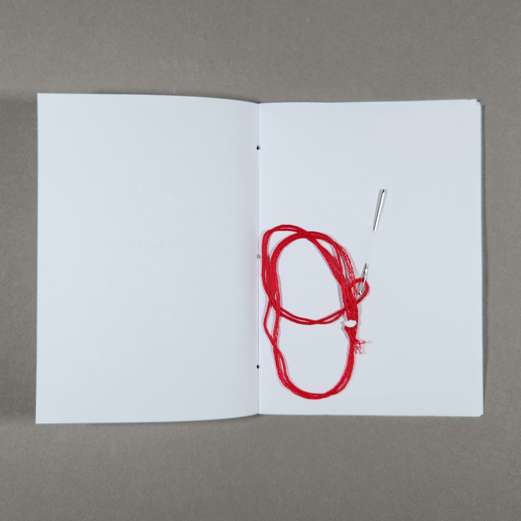 An open pamphlet with an embroidery needle with red floss stabbed through the recto. 