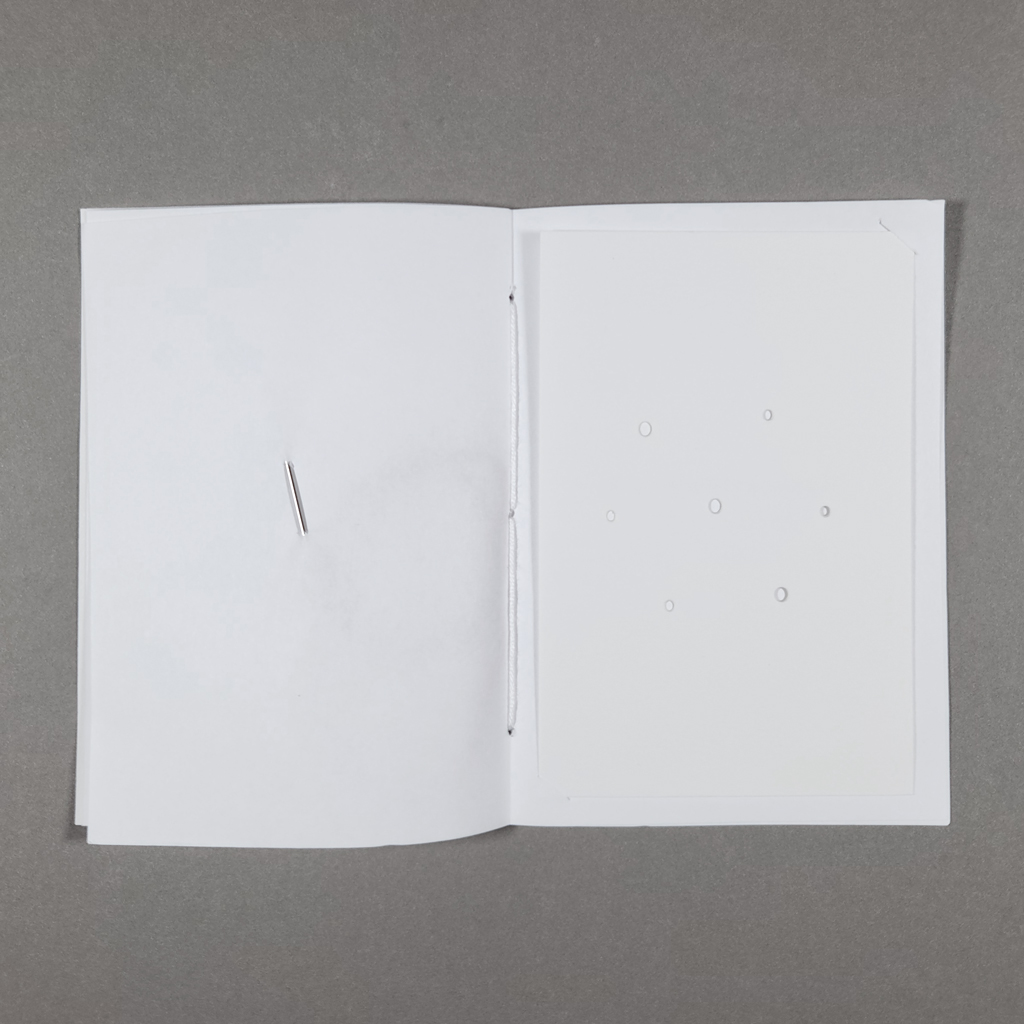 An open pamphlet with an embroidery needle on the left and hole-punched card on the right.